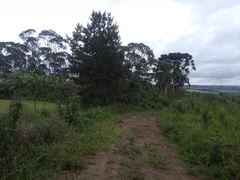 Fazenda / Sítio / Chácara com 1 Quarto à venda, 62228m² no Centro, Campo do Tenente - Foto 6