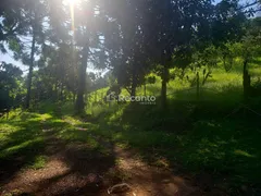 Fazenda / Sítio / Chácara à venda, 36000m² no Varzea Grande, Gramado - Foto 5