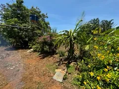 Fazenda / Sítio / Chácara com 3 Quartos à venda, 25000m² no Setor Central, Bonfinópolis - Foto 2