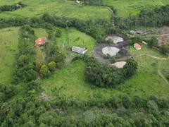 Fazenda / Sítio / Chácara com 3 Quartos à venda, 300m² no Centro, Crucilândia - Foto 15