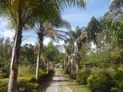 Fazenda / Sítio / Chácara com 5 Quartos à venda, 36400m² no Pavão-Canguera, São Roque - Foto 19