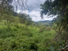 Terreno / Lote / Condomínio à venda, 49000m² no Zona Rural, Camanducaia - Foto 9