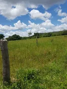 Fazenda / Sítio / Chácara com 1 Quarto à venda, 250000m² no Arapoanga, Brasília - Foto 14