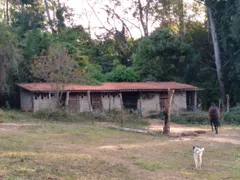 Fazenda / Sítio / Chácara com 4 Quartos à venda, 8300m² no VILA SAO JOSE, Várzea Paulista - Foto 5