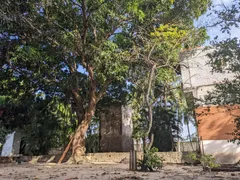 Fazenda / Sítio / Chácara com 8 Quartos à venda, 30000m² no Zona Rural, Macaíba - Foto 2