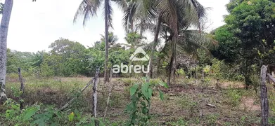 Terreno / Lote / Condomínio à venda, 1600m² no Santa Terezinha, São Gonçalo do Amarante - Foto 4