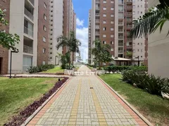Apartamento com 3 Quartos à venda, 77m² no Jardim Flor da Montanha, Guarulhos - Foto 34