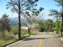Terreno / Lote / Condomínio à venda, 1650m² no Bosque da Ribeira, Nova Lima - Foto 4