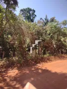 Terreno / Lote / Condomínio à venda, 30000m² no Beira Rio, Teresina - Foto 1