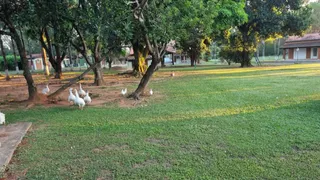 Fazenda / Sítio / Chácara com 8 Quartos à venda, 20000m² no Haras Paineiras, Salto - Foto 8