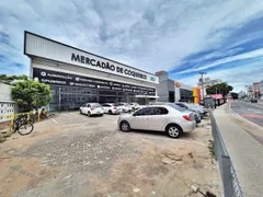 Loja / Salão / Ponto Comercial para alugar, 32m² no Coqueiros, Florianópolis - Foto 8