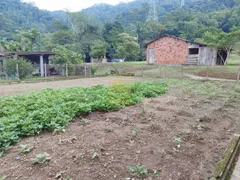 Fazenda / Sítio / Chácara com 3 Quartos à venda, 24750m² no Araponguinhas, Timbó - Foto 21