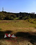 Fazenda / Sítio / Chácara com 1 Quarto à venda, 119000m² no Tietê, Araucária - Foto 12