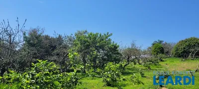 Fazenda / Sítio / Chácara com 2 Quartos à venda, 200m² no Jardim Portugal, Valinhos - Foto 36