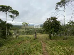 Fazenda / Sítio / Chácara com 2 Quartos à venda, 80000m² no Centro, Canelinha - Foto 20
