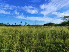 Fazenda / Sítio / Chácara à venda no Zona Rural, Glória do Goitá - Foto 3