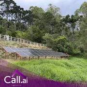 Fazenda / Sítio / Chácara com 3 Quartos à venda, 3000m² no Centro, Wenceslau Braz - Foto 8