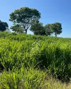 Fazenda / Sítio / Chácara à venda, 1120000m² no Icatu, Querência do Norte - Foto 8