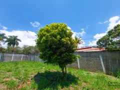 Terreno / Lote / Condomínio para alugar, 2000m² no São Luíz, Belo Horizonte - Foto 13