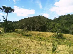 Fazenda / Sítio / Chácara à venda, 30000m² no Centro, São Luiz do Paraitinga - Foto 6