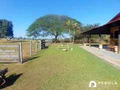 Fazenda / Sítio / Chácara com 5 Quartos à venda, 300m² no Zona Rural, Caldazinha - Foto 5