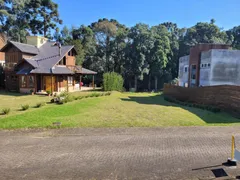 Terreno / Lote / Condomínio à venda, 764m² no Parque das Hortênsias, Canela - Foto 7