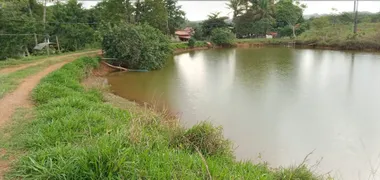 Fazenda / Sítio / Chácara com 3 Quartos à venda, 1340000m² no Area Rural de Ceilandia, Brasília - Foto 65