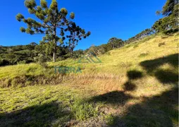 Terreno / Lote / Condomínio à venda, 30000m² no Centro, São Bento do Sapucaí - Foto 22