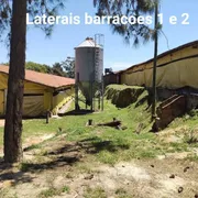 Fazenda / Sítio / Chácara com 5 Quartos à venda, 500m² no Area Rural de Itapetininga, Itapetininga - Foto 6