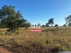 Fazenda / Sítio / Chácara à venda, 190m² no Zona Rural, Faina - Foto 22