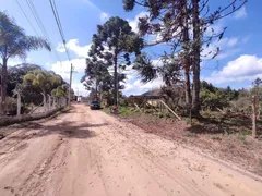 Terreno / Lote / Condomínio à venda, 1000m² no Centro, Biritiba Mirim - Foto 5