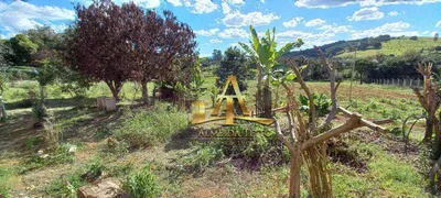 Fazenda / Sítio / Chácara com 3 Quartos à venda, 170m² no Zona Rural, Turvolândia - Foto 10