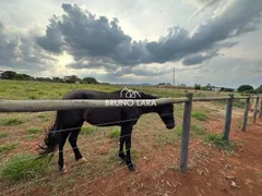 Fazenda / Sítio / Chácara com 4 Quartos à venda, 400m² no Vale Do Amanhecer, Igarapé - Foto 40