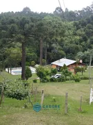 Fazenda / Sítio / Chácara com 4 Quartos à venda, 31000m² no Vila Seca, Caxias do Sul - Foto 11