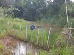 Fazenda / Sítio / Chácara com 1 Quarto à venda, 1150000m² no Zona Rural, Passa Tempo - Foto 14