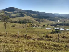 Fazenda / Sítio / Chácara com 3 Quartos à venda, 115000m² no , Ilicínea - Foto 2