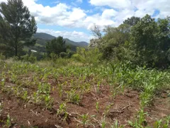 Terreno / Lote / Condomínio à venda, 21147m² no Centro, Linha Nova - Foto 3