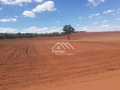 Fazenda / Sítio / Chácara à venda, 2202200m² no Santo Inácio, Uberlândia - Foto 7