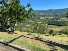 Terreno / Lote / Condomínio à venda, 2000m² no Morrinhos, Garopaba - Foto 3