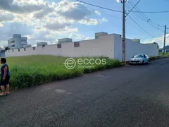 Terreno / Lote / Condomínio à venda, 300m² no Novo Mundo, Uberlândia - Foto 6