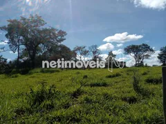Fazenda / Sítio / Chácara com 3 Quartos à venda, 20800m² no Morada Nova, Contagem - Foto 9