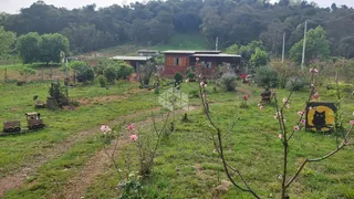 Fazenda / Sítio / Chácara com 2 Quartos à venda, 1250m² no Centro, Monte Belo do Sul - Foto 1
