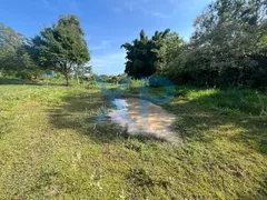 Fazenda / Sítio / Chácara com 3 Quartos à venda, 230m² no Zona Rural, São Sebastião do Oeste - Foto 79