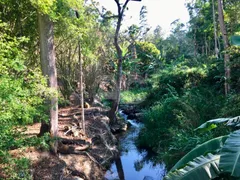 Fazenda / Sítio / Chácara com 6 Quartos à venda, 149000m² no Chacara Paraiso, Nova Friburgo - Foto 31