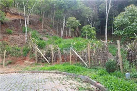 Terreno / Lote / Condomínio à venda, 471m² no Duas Pedras, Nova Friburgo - Foto 9