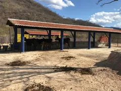 Fazenda / Sítio / Chácara com 1 Quarto à venda, 600m² no , Caninde - Foto 11