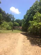 Fazenda / Sítio / Chácara com 3 Quartos à venda, 50500m² no Guabiraba, Recife - Foto 6