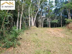 Fazenda / Sítio / Chácara com 3 Quartos à venda, 34000m² no Area Rural de Sao Jose dos Pinhais, São José dos Pinhais - Foto 14