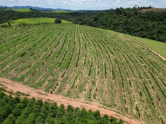 Fazenda / Sítio / Chácara com 4 Quartos à venda, 1350000m² no Zona Rural, Botelhos - Foto 10
