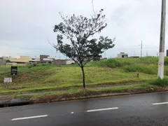 Terreno / Lote / Condomínio à venda, 300m² no Olimpico, Londrina - Foto 6